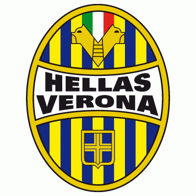 italian serie a hellas verona pres primary logo t shirt iron on transfers